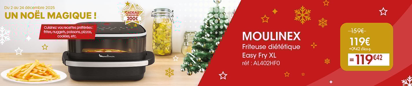 PRO - NOEL - FRITEUSE